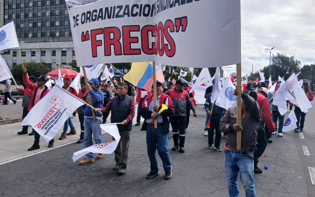 PRIMERO DE MAYO PARTICIPACIÓN DE FRECOOS